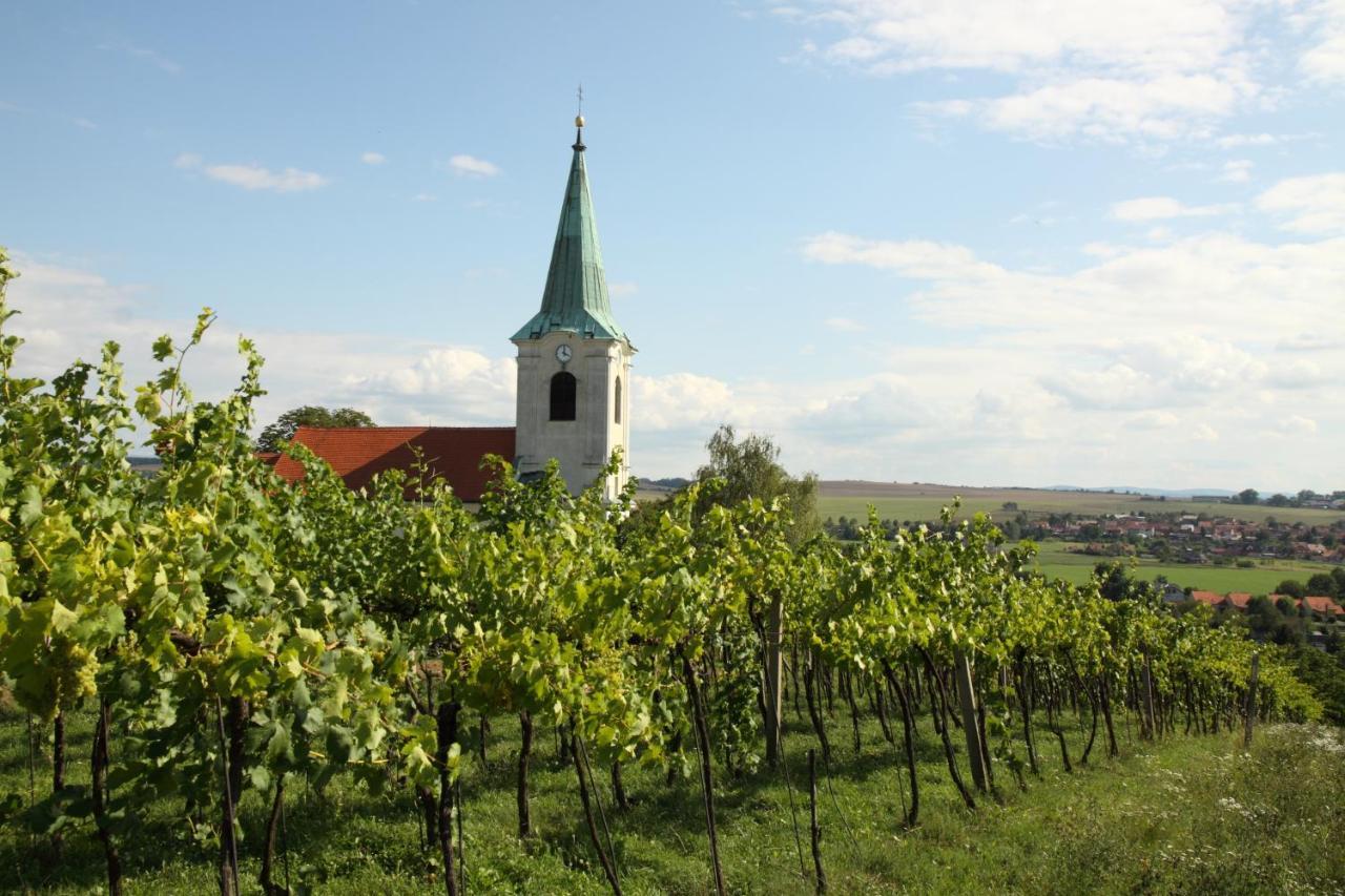 Ubytovani Ve Vinarstvi Medek | Medek House & Winery Uherské Hradiště Zewnętrze zdjęcie
