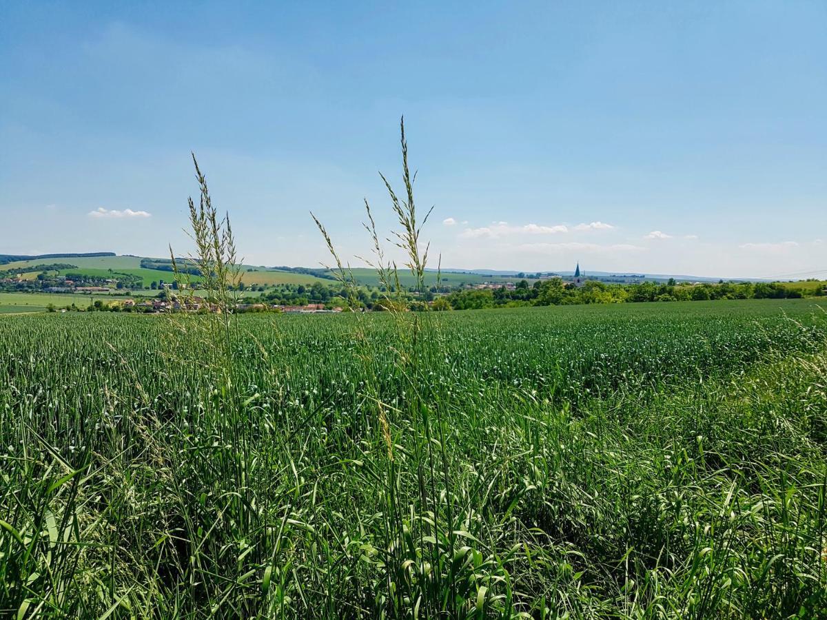 Ubytovani Ve Vinarstvi Medek | Medek House & Winery Uherské Hradiště Zewnętrze zdjęcie