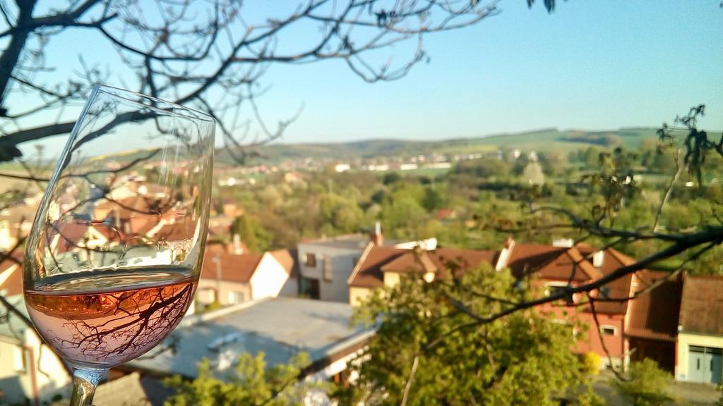 Ubytovani Ve Vinarstvi Medek | Medek House & Winery Uherské Hradiště Zewnętrze zdjęcie