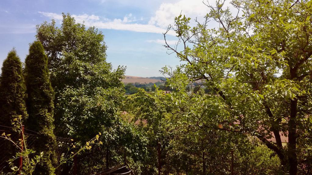 Ubytovani Ve Vinarstvi Medek | Medek House & Winery Uherské Hradiště Zewnętrze zdjęcie