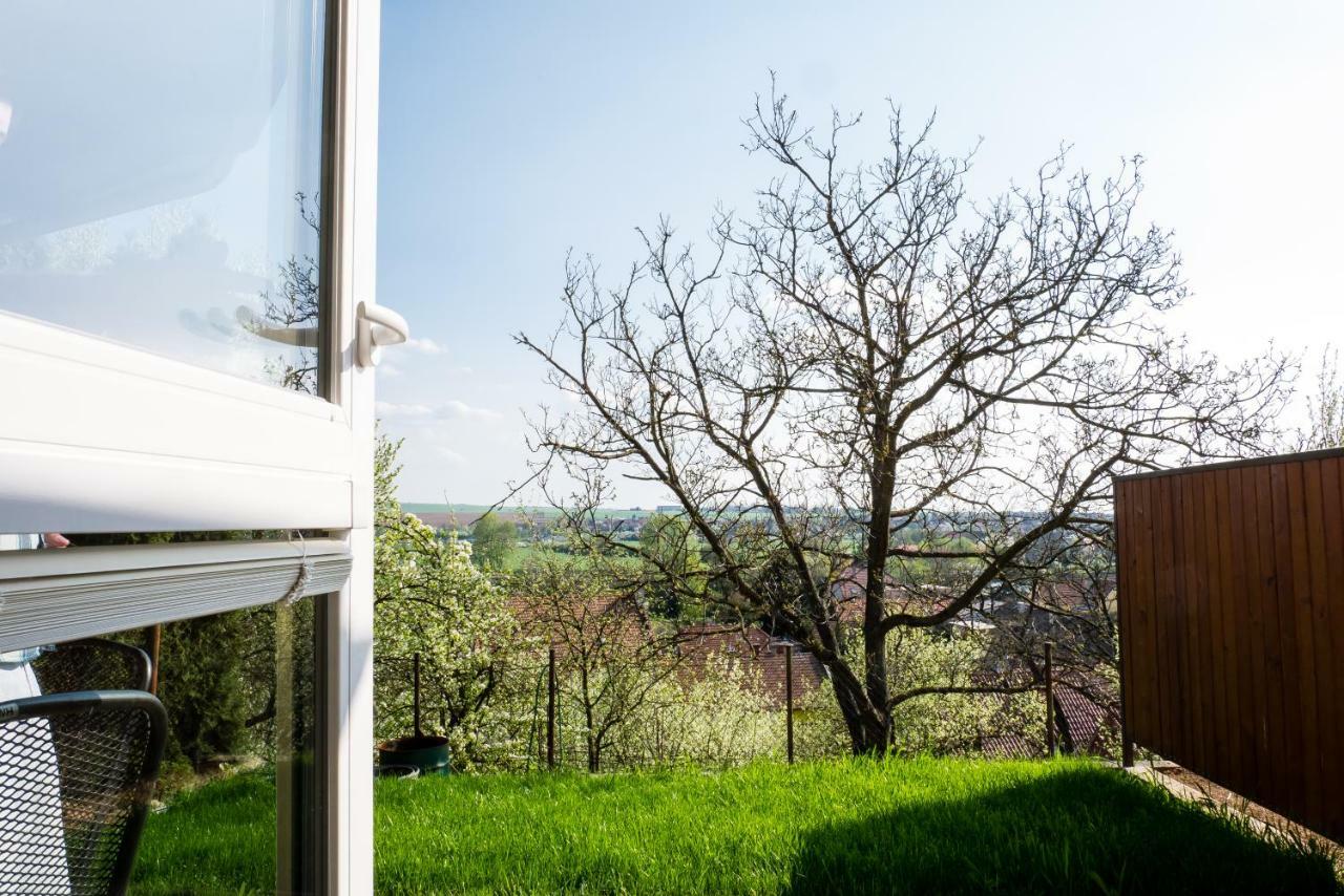 Ubytovani Ve Vinarstvi Medek | Medek House & Winery Uherské Hradiště Zewnętrze zdjęcie
