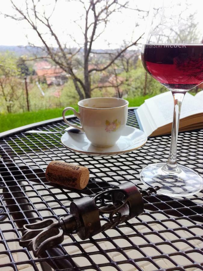 Ubytovani Ve Vinarstvi Medek | Medek House & Winery Uherské Hradiště Zewnętrze zdjęcie